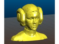 Leia bust artistic concept by Tse_Tso