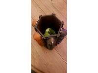 Nescafé Capsule holder by Tziera