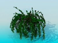 3D Model House plant