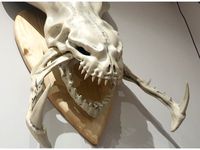 Hydralisk skull by blackcaos