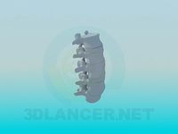 3D Model The Vertebrae