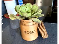 Planter Pot Soma A Brave New World by SeanG1