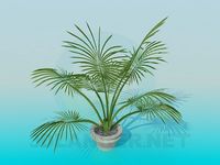 3D Model House plant