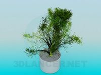 3D Model Pot