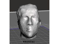 Realistic Zombie Head by KingSam1st