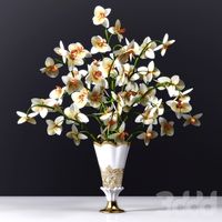 ORCHID 2