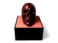 Anatomical Human Male Skull(updated 11/7/2020) by PoloniusStudios