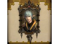 A Knight to Remember -  photo frame from FFXIV by hoshineko