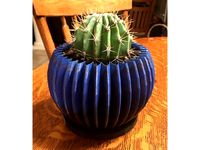 Cactus Planter with Drainage Tray by Peterr211