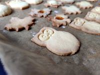 Owl Cookie Cutter with bigger sidewalls by Tabsy21