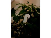 Bonsai Parrot by TechnoScarab