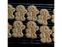 Gingerbread Man / Skeleton Cookie Cutter by TeamOliva