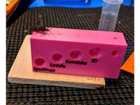 Entomology Pinning Block by jebba_chowder