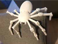 Flexi spider by FabriceVN