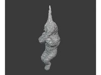 Dwarf Spider Victim by anvilcrafter