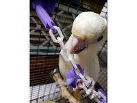 Bird toy: Chain, rattle, charms for 0.5, 1.0, and 2.0 in welded wire. by Gazaah