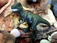 Tyrannosaurus Rex by ASLLEXICON