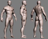 muscled Male3d model