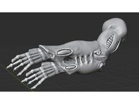 Star Prophets Rigged Double Banjo arm by sirslamb