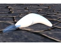 Bait Boomerang 95mm Fishing Lure v1.0 Beta by letal3dlures