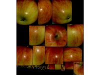 Apple scan by dntoll