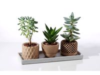 Modern geometric Succulent plant pot  by SchulteGeileTechnik