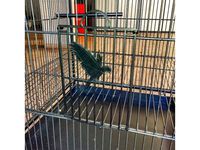 Bird cage door by DanTech