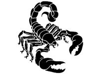 Scorpion stencil 7 by Longquang