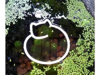 Aquarium feeding ring ver 2 by solomonlq