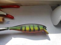 40G Crankbait Wobbler by sharkymoto