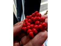 Bead (in the style of "Pony Beads") by riz94107