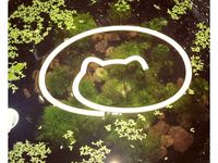 Aquarium feeding ring ver by solomonlq