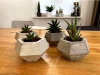 Concrete mold for planter - plant pot by aap007