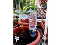 Bottle spout-cap to water plants by rolago