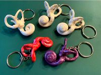 Cochlea Keychain by Jigsaw591