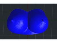 Magnetic Boobs by SlappyDick