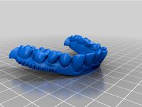 Sample Dental Models Prepped for Printing by BrianHecklemeyer