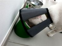 Pet Bowl Riser by V0XeL