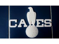 CASE Traction engine Eagle Logo by Andrew_Wildish