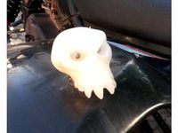 Quad Blinker / ATV turn signal by RacoonX
