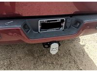 bearded skull hitch plug by bubbaedc