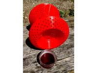 Vespa Velutina trap- Adapted to standard Jars by Chouvy