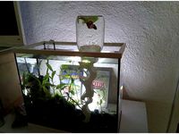 Atlantide Tower. DIY  by YasserBENSETTI