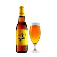 Beer Bottle and Glass of Beer