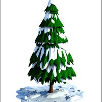 Snow Evergreen Tree