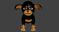 Black Dog