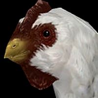 White Chicken