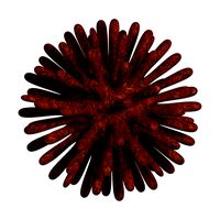 Generic Virus Octane + Physical
