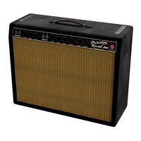 Vintage 1963 Princeton Guitar Amp