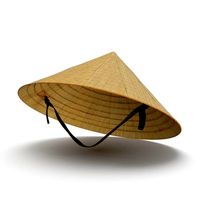 Vietnamese Rice Hat